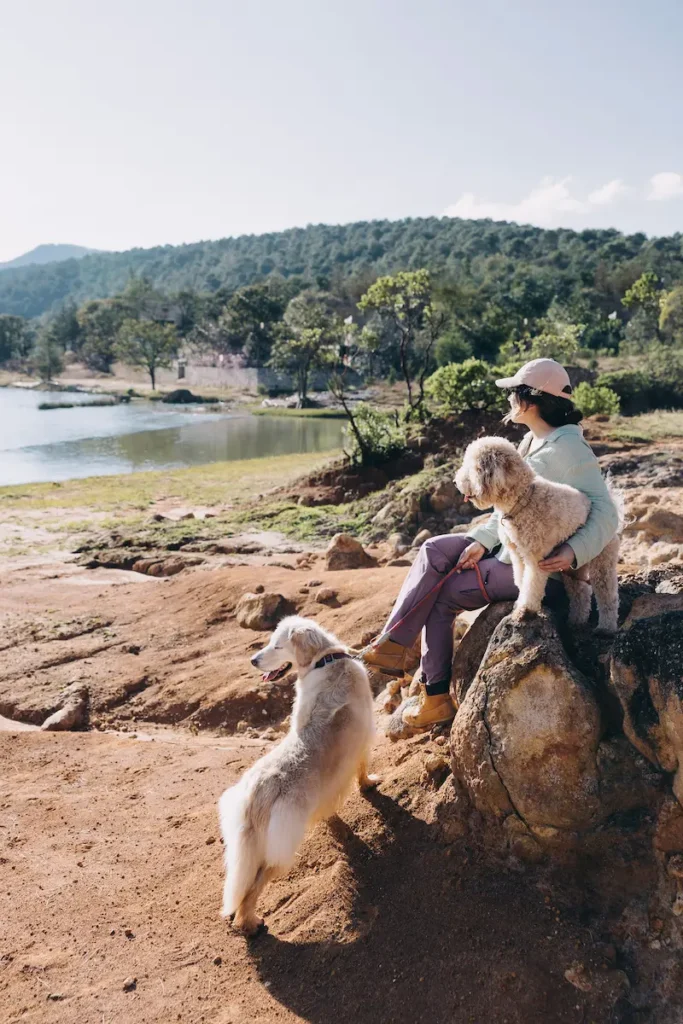 physical self care habits like sleep nutrition and movement